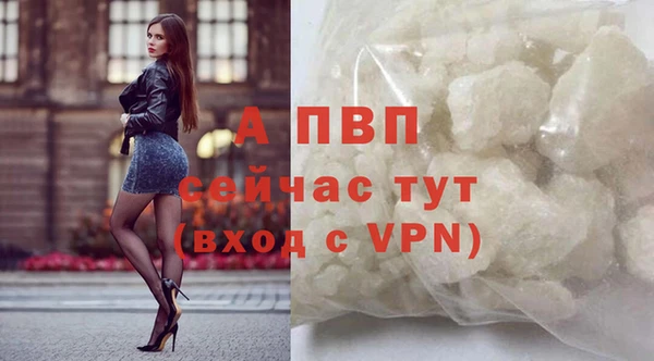 прущие грибы Арсеньев