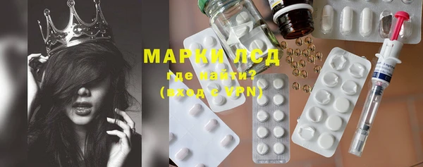 прущие грибы Арсеньев