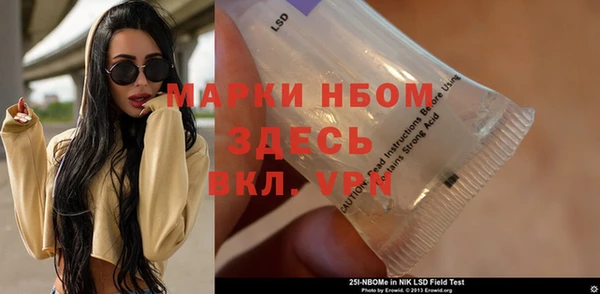 прущие грибы Арсеньев