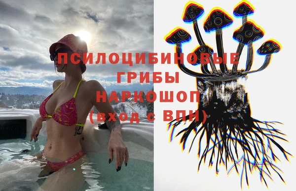 прущие грибы Арсеньев