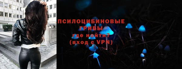 прущие грибы Арсеньев