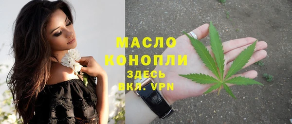 индика Горняк