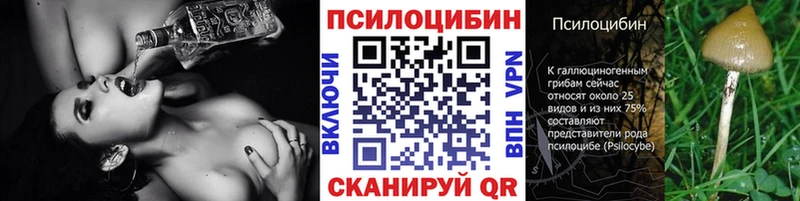 наркотики  Нижние Серги  Псилоцибиновые грибы мухоморы 
